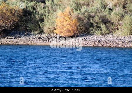 Colorado River, Bullhead City, Az und Laughlin, NV Stockfoto