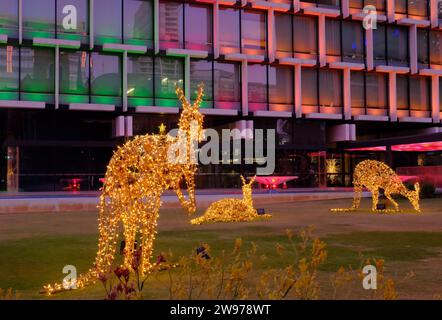 Perth: Weihnachtskängurus mit leuchtenden goldenen Lichtern in der Dämmerung im Council House, St Georges Terrace, Perth, Western Australia Stockfoto