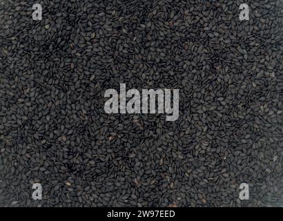 Schwarze oder dunkle Sesamkerne oder -Fliesen wurden als Verwendung für die Hintergrundtextur der Pflanze verwendet. Nahrhafte Pflanzensamen zur Extraktion in Speiseöl Stockfoto
