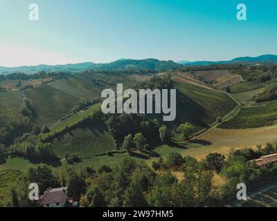 Aus der Vogelperspektive der hügeligen Weinfarm im Sommer in Castell'Arquato, Arda-Tal, Piacenza, Emilia Romagna, Italien Stockfoto