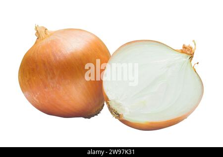 Eine frische goldene Zwiebelknolle mit einer Hälfte oder einer Scheibe wird auf weißem Hintergrund mit Beschneidungspfad isoliert. Konzept des gesunden Gemüses oder der Nahrung Stockfoto