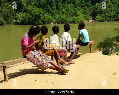 Stämmen im Taman Negara Nationalpark, Malaysia Stockfoto