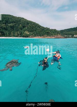 Eine Gruppe von Touristen schnorchelt zusammen mit den Schildkröten in Pulau Redang. Stockfoto