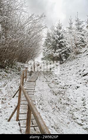 Von Brettern gesäumter Weg mit Geländern, der durch den Winterwald mit schneebedeckten Bäumen und Fichten führt Stockfoto