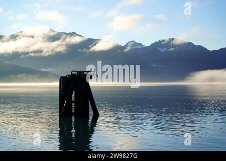 Der riesige Pazifik an der Resurrection Bay im Kenai Fjord National Park in Seward, Alaska Stockfoto
