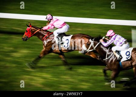 Jockey zieht bei einem Pferderennen an die Spitze. Stockfoto