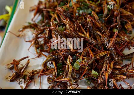 Frittierte Heuschrecken beim Street Food Stockfoto