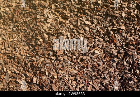 Vollbild-Nahaufnahme von braunem Mulch für Garten- und Landschaftsdekoration. Textur der Birkenmulchrinde für den Garten. Nahaufnahme der Spänepfadbedeckung. Holzspäne Textur Biomasse Hintergrund Stockfoto