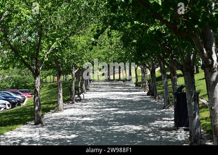 Schotterweg im Schatten von zwei Reihen von Bäumen, schlängelt sich um das Utah State Capitol Stockfoto