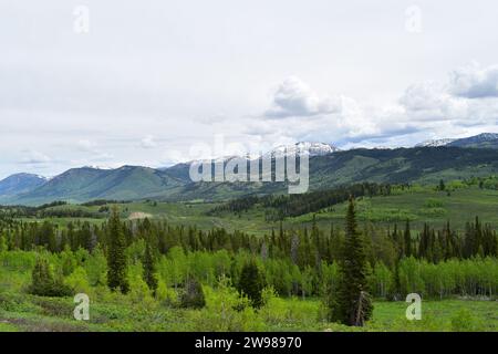 Blick auf die majestätische Landschaft Wyoming und die Rocky Mountains am Salt River Pass Scenic Overlook Stockfoto