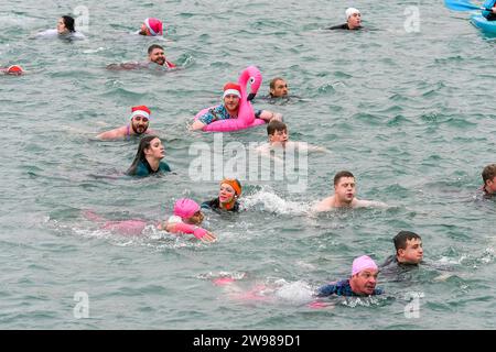 Weymouth, Dorset, Großbritannien. Dezember 2023. Hunderte festliche Feiernde in festlicher Kleidung nehmen an der jährlichen Wohltätigkeitsorganisation am Weihnachtstag Teil, die über den Hafen von Weymouth in Dorset schwimmen, der von riesigen Menschenmassen am Hafen unterstützt wurde. Bildnachweis: Graham Hunt/Alamy Live News Stockfoto