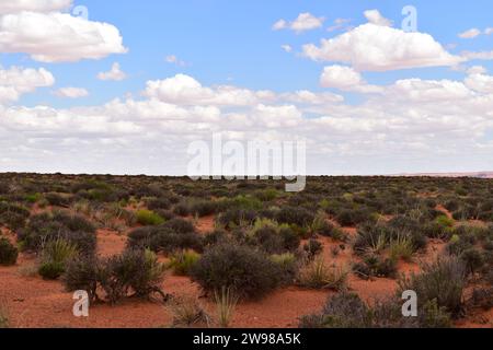 Blick auf die unendlich flache Landschaft der Wüste Nord-Arizonas, bedeckt mit rotem Sand und Salbei-Pinsel-Vegetation Stockfoto