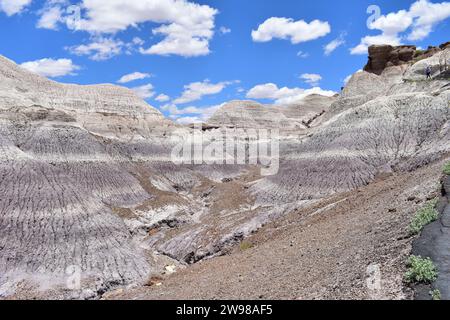 Blick auf die farbenfrohe blau-violette mesa-Landschaft im Petrified Forest National Park Stockfoto