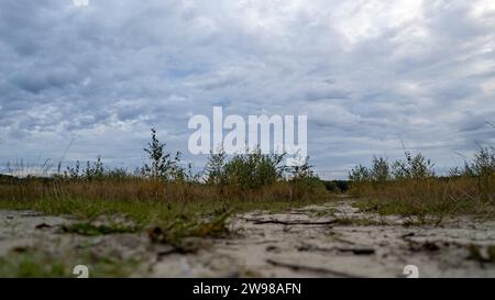 Das Bild bietet eine bodennahe Ansicht eines Sandgebiets mit spärlicher Vegetation, die das Auge in Richtung eines dramatisch bewölkten Himmels führt. Die Perspektive ist niedrig und fokussiert auf den sandigen Vordergrund, der mit kleinen Pflanzen und Trümmern verstreut ist, was einer Skyline Platz macht, die von einer dynamischen Anordnung von Wolken dominiert wird. Diese Komposition vermittelt ein Gefühl der Offenheit und der rohen Einfachheit einer unberührten Naturlandschaft. Der bewölkte Himmel bringt eine Stimmung der Nachdenklichkeit und der Erwartung des wechselnden Wetters. Niedrige Perspektive der dünnen Vegetation vor einem bewölkten Himmel. Hochwertige Fotos Stockfoto