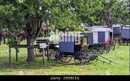 Eine große Gruppe von Amish Horse und Buggys für eine Veranstaltung in Lancaster, Pennsylvania an einem sonnigen Sommertag Stockfoto