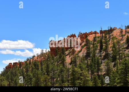 Blick auf die wunderschöne Landschaft aus rotem Sandstein und zerklüftete Gipfel auf dem Navajo Loop Trail im Bryce National Park Stockfoto