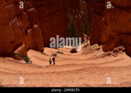 Besucher wandern auf dem Navajo Loop Trail im Bryce Canyon National Park bergauf Stockfoto