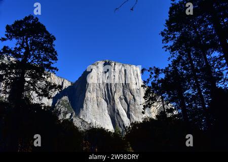 Blick auf den majestätischen Granitberg El Capitan von unten im Yosemite Valley an einem sonnigen Tag mit klarem blauem Himmel Stockfoto