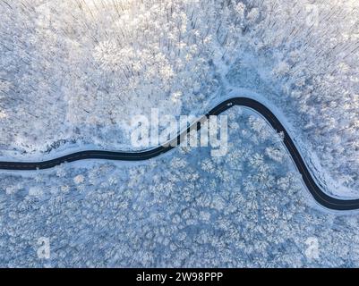 Kurvige Landstraße bei Gutenberg auf der Schwäbischen Alb im Winter liegt Schnee im Wald, Drohnenfoto, Lenningen, Baden-Württemberg, Deutschland Stockfoto