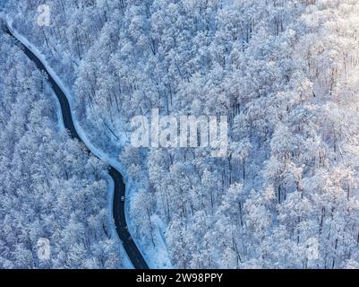 Kurvige Landstraße bei Gutenberg auf der Schwäbischen Alb im Winter liegt Schnee im Wald, Drohnenfoto, Lenningen, Baden-Württemberg, Deutschland Stockfoto