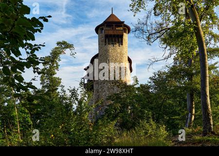 Schweiz, Baselland, Baselbiet, Birseck, Arlesheim, Arlesheim Dorf, Burg, Reichenstein, Burg Reichenstein, Frühling, Mai Stockfoto