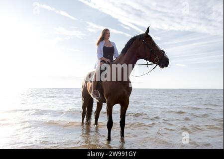 Eine schöne Aufnahme einer jungen Frau, die auf ihrem Pferd posiert und am Strand im Wasser steht Stockfoto