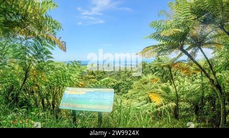 Walu Wugirriga Lookout, Queensland, Australien - auch bekannt als Mount Alexandra Lookout, ist ein großartiger Ort, um den Daintree River zu sehen, während er fließt Stockfoto