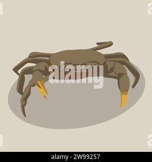 Vektor-isolierte Darstellung einer Krabbe. Stock Vektor