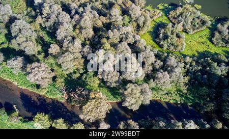 Eine Luftaufnahme einer bewaldeten Landschaft mit einem sich windenden Fluss. Stockfoto