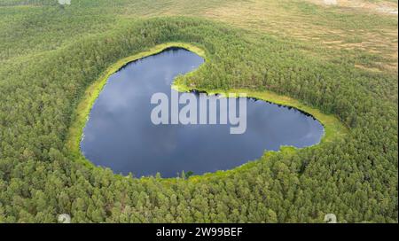 Blick aus der Vogelperspektive auf den herzförmigen Waldsee, umgeben von grünen Bäumen und smaragdgrünen Moosen an der Küste Estlands Stockfoto