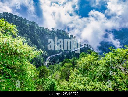 Ein malerischer Pfad schlängelt sich durch einen üppigen Wald am Hügel. Trikuta Hills in Jammu, Indien Stockfoto