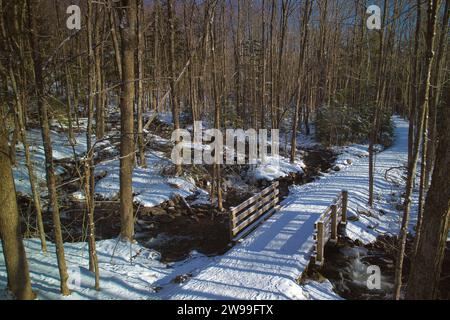 Ein malerischer Winterblick auf einen schneebedeckten Pfad, der durch einen malerischen Wald führt. Waterloo, Quebec Stockfoto