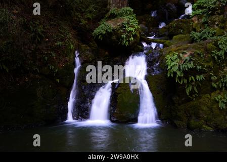 Kleine Wasserfälle in Mt. Tamalpais, Kalifornien. Stockfoto