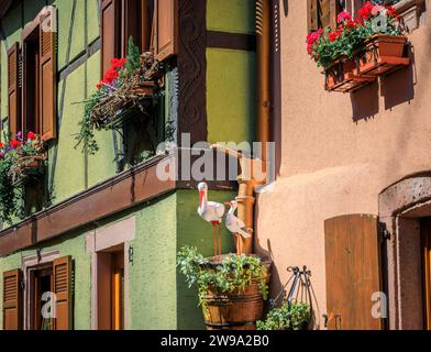 Storchennest Dekoration in einem traditionellen Fachwerkhaus mit blühenden Blumen in Ribeauville, Frankreich, einem Dorf an der elsässischen Weinstraße Stockfoto