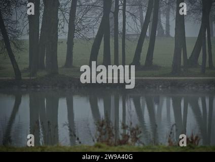 Nebeliger Seeufer mit einer Reihe von Baumstämmen, die auf dem Wasser reflektieren, im Park Schönbusch, Aschaffenburg, Bayern, Deutschland Stockfoto