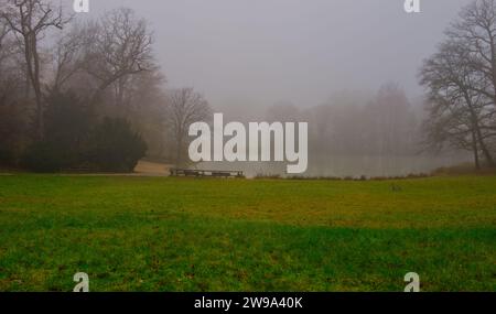 Landschaft eines nebeligen Seeufers mit blattlosen Bäumen und grünen Wiesen im Vordergrund im Park Schönbusch, Aschaffenburg, Bayern Stockfoto