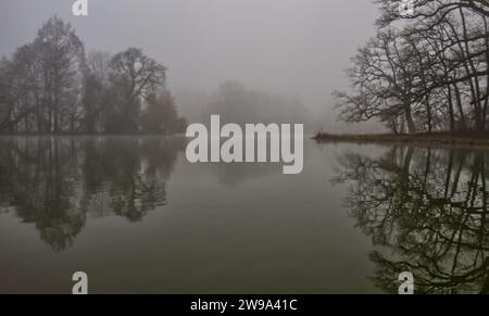 Seenlandschaft mit Wasserspiegeln an einem nebeligen Seeufer mit blattlosen Bäumen im Park Schönbusch, Aschaffenburg, Bayern, Deutschland Stockfoto