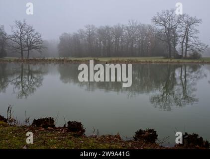 Landschaft eines nebeligen Seeufers mit blattlosen Bäumen und Büschen im Park Schönbusch, Aschaffenburg, Bayern, Deutschland Stockfoto