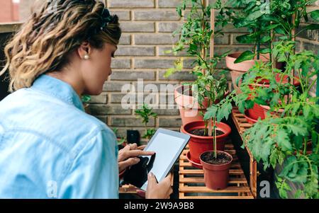 Frau, die ein digitales Tablet berührt, während sie die Pflanzen des urbanen Gartens auf der Terrasse pflegt Stockfoto