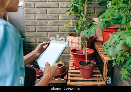 Frau, die ein digitales Tablet benutzt, während sie die Pflanzen des städtischen Gartens auf der Terrasse pflegt Stockfoto