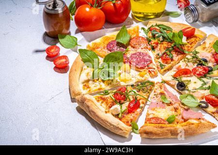 Verschiedene Geschmacksrichtungen Pizza Scheiben mit verschiedenen traditionellen Füllung - Meeresfrüchte Fisch Lachs, Hawaiian mit Huhn, vegetarisches Gemüse margarita, Fleisch Stockfoto