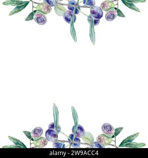 Aquarell mit Olivenzweigen. Vektordarstellung einer Vorlage mit obersten Elementen. Lebensmittelverpackungen, Öletiketten, Kosmetik, Karten, Banner, Präsentationen. Stock Vektor