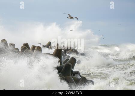 Hohe weiße Spritzer von Wellen, die im Sturm gegen den Betonbruch des Hafens prallen Stockfoto