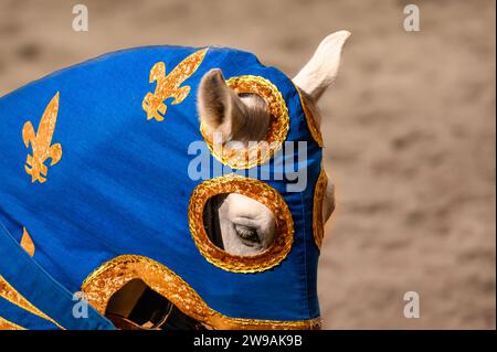 Medieval Times Dinner and Tournament, Toronto, Kanada Stockfoto