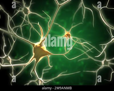 Neuronennetzwerk im menschlichen Gehirn. Digitale Illustration. Stockfoto