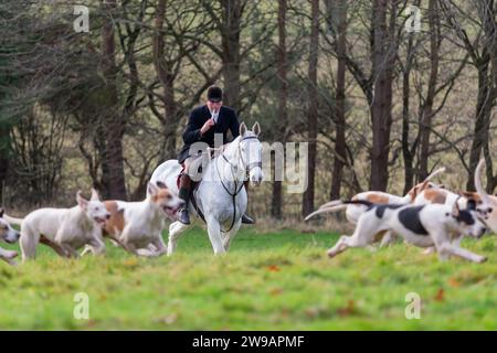 Hagley, Worcestershire, Großbritannien. Dezember 2023. Der Master of the Hounds geht mit den Hunden auf das Feld beim Treffen am zweiten Weihnachtsfeiertag der Albrighton and Woodland Hunt in Hagley Hall, Worcestershire. Quelle: Peter Lopeman/Alamy Live News Stockfoto