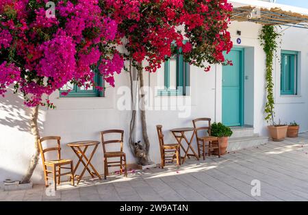 Der berühmteste und berühmteste Fotoort in Lefkes, Paros Island. Traditionelles griechisches Haus mit grünen Türen und rosa Bougainvillea Stockfoto