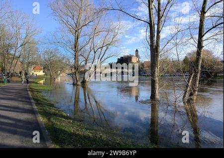 26. Dezember 2023, Sachsen-Anhalt, Halle (Saale): Das Hochwasser der Saale hat die Wiesen am Ufer der Talstraße überschwemmt. Die Hochwassersituation ist in Sachsen-Anhalt vielerorts angespannt. Foto: Heiko Rebsch/dpa Stockfoto