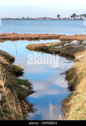 seeblick mit Himmelsspiegelung Stockfoto