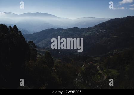 Das nebelige Douro Valley im späten Herbst. Portugal. Stockfoto
